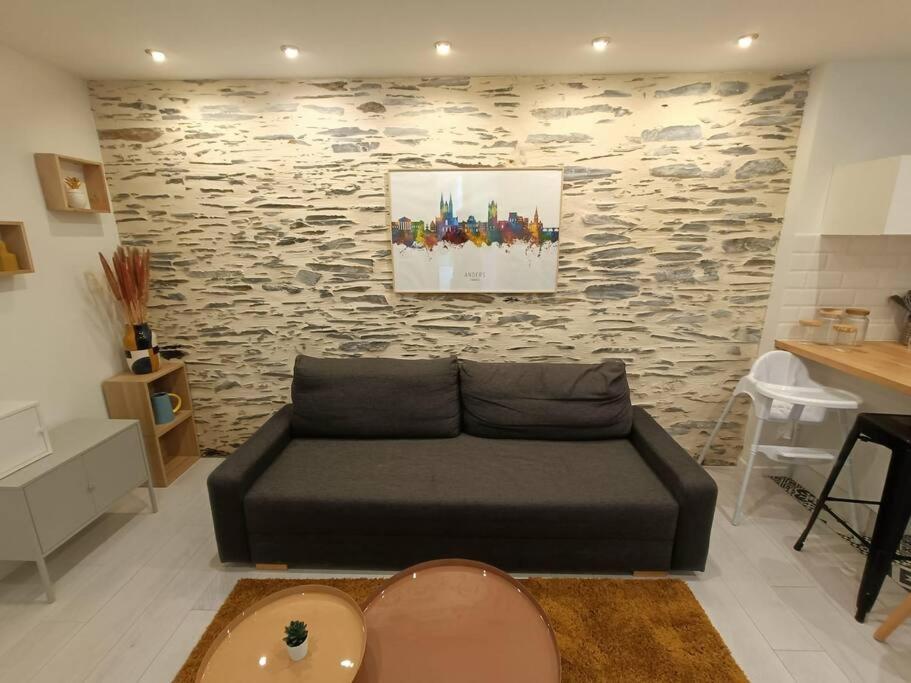 Douceurs Angevine Apartment Angers Exterior photo