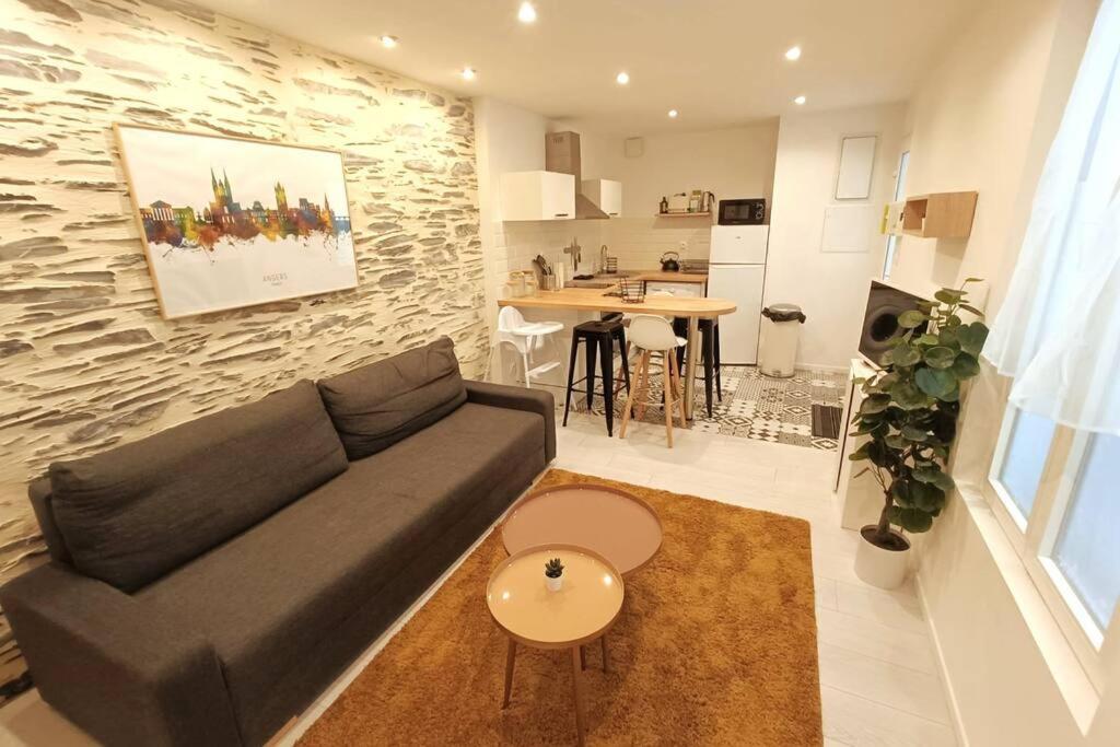 Douceurs Angevine Apartment Angers Exterior photo